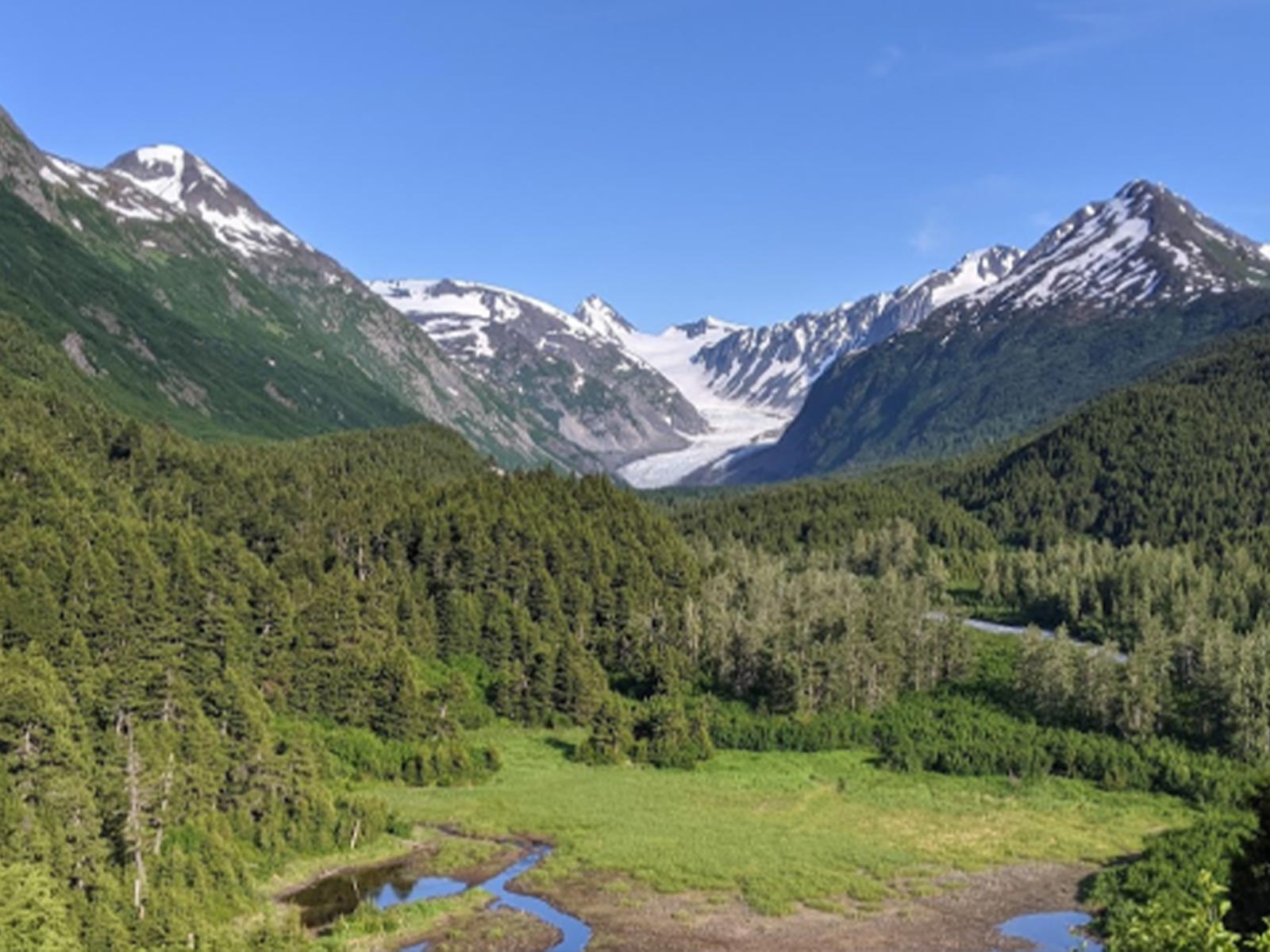 Valley view of Chugach National Forest with snow-capped mountains behind